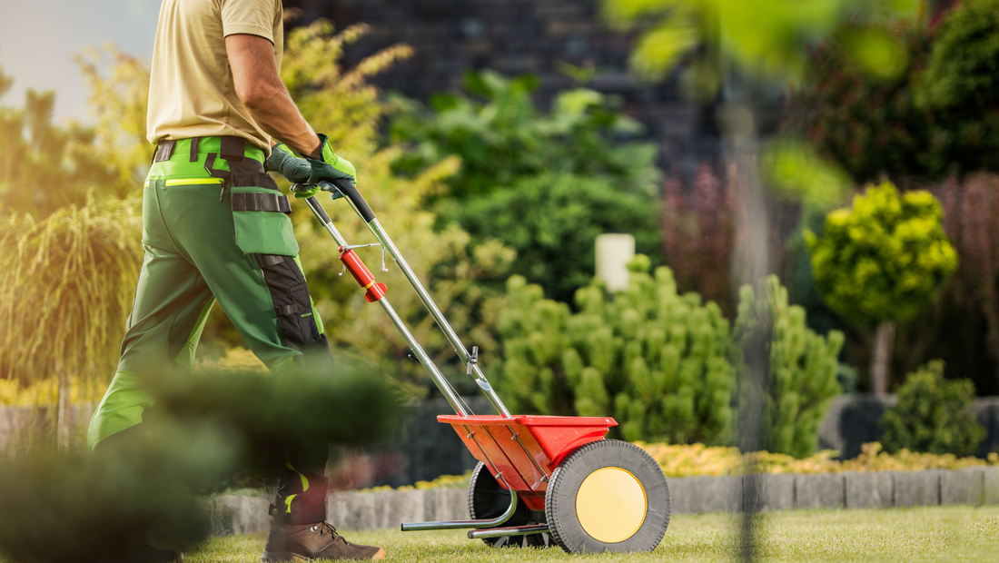 Gjødsler du plenen din riktig?