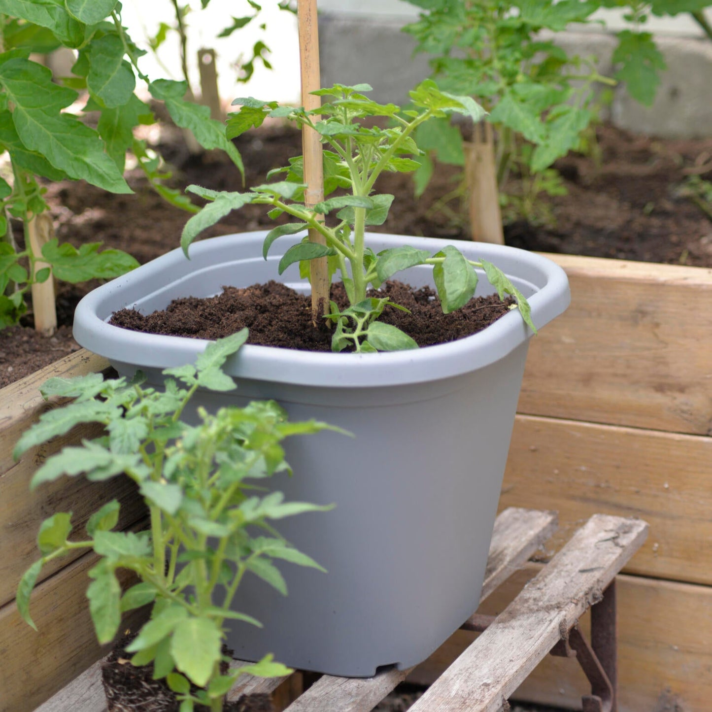 Selvvanningspotte med planteholder – 8 liter