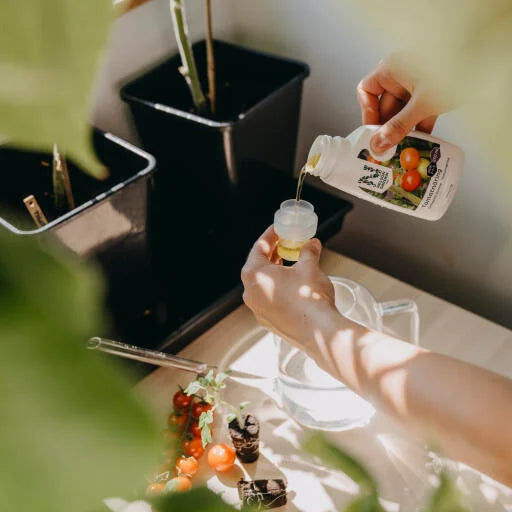 Tomatnæring – Flytende spesialgjødsel for tomatplanter (250 ml)