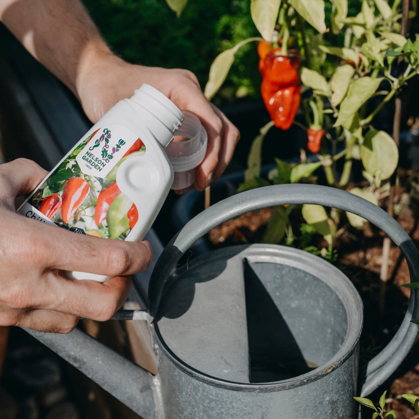 Chilinæring – Flytende spesialgjødsel for chiliplanter (250 ml)