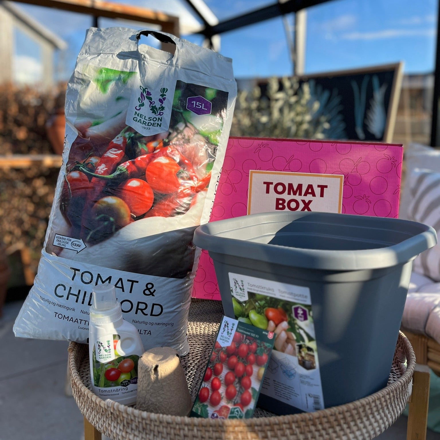 Tomatbox - alt du trenger for å dyrke tomater hjemme.
