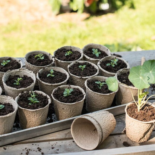 Fiberpotter Ø8 cm – 32 stk