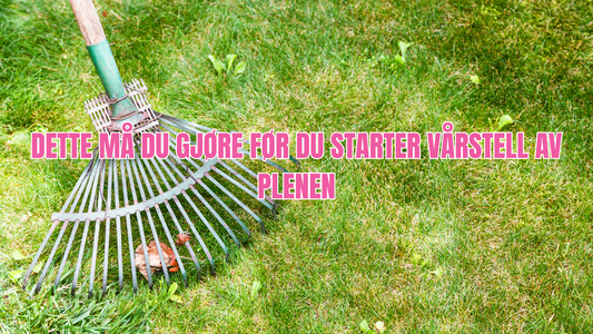 Vår-sjekkliste for plenen (mars – mai)