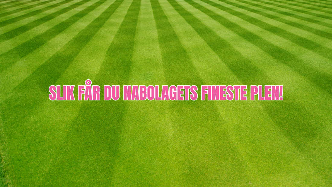 Veien til nabolagets grønneste plen