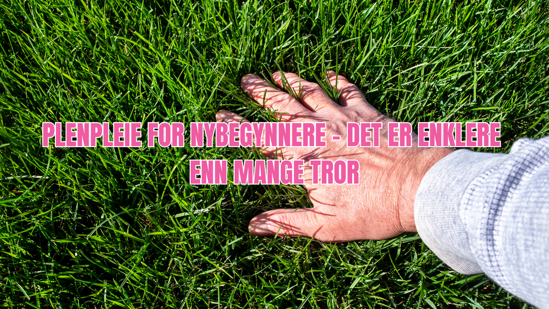 Plenpleie for nybegynnere – slik lykkes du med plen