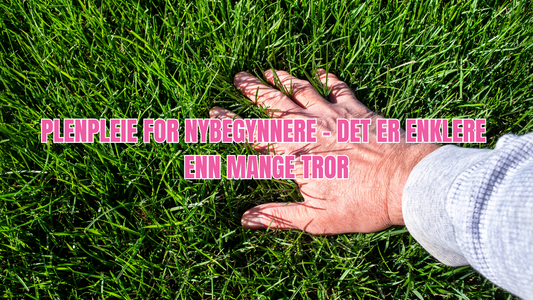 Plenpleie for nybegynnere – slik lykkes du med plen