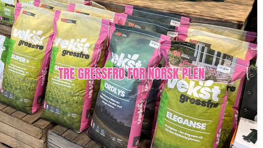 Beste gressfrø for norsk klima – slik velger du riktig blanding