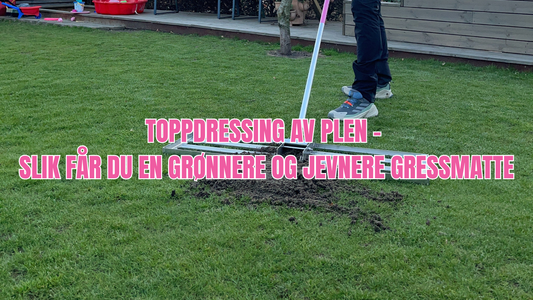 Toppdressing av plen