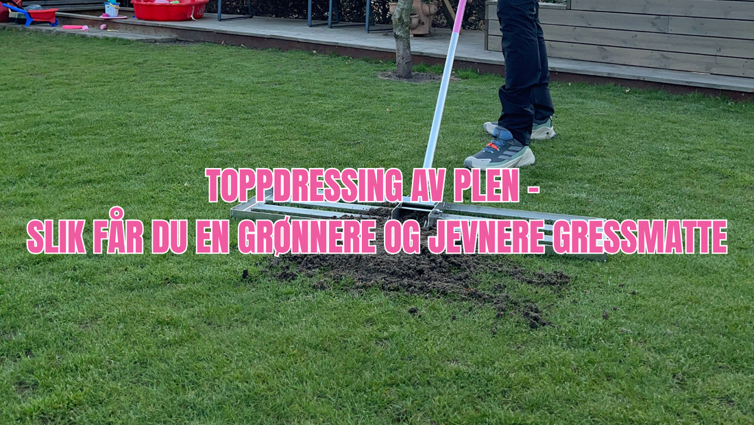 Toppdressing av plen