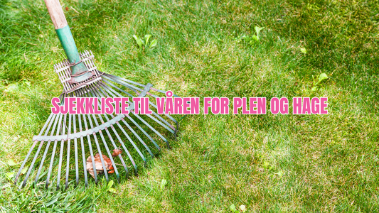 Vår-sjekkliste for plen og hage (mars – mai)