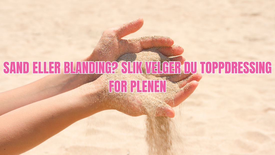 Toppdressing med sand