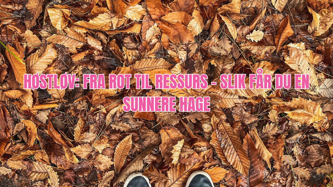 Høstløv – Gratis gull for hagen