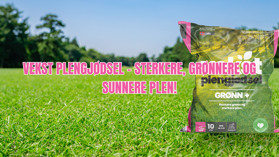 Vekst Plengjødsel: Det beste valget for en sunn og frodig plen