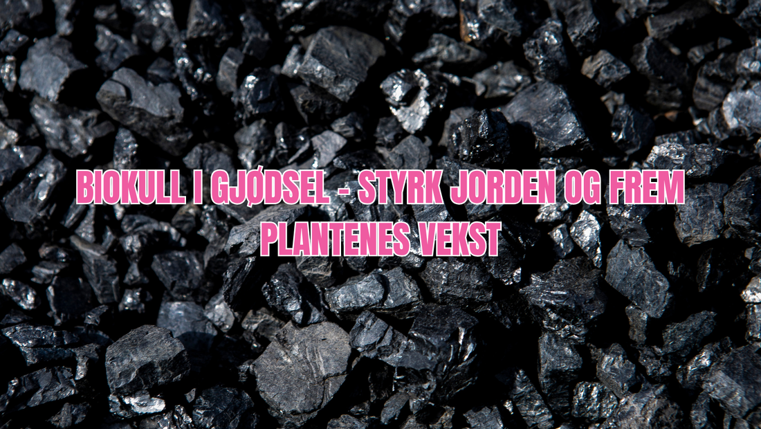 Hvorfor brukes biokull i gjødsel?