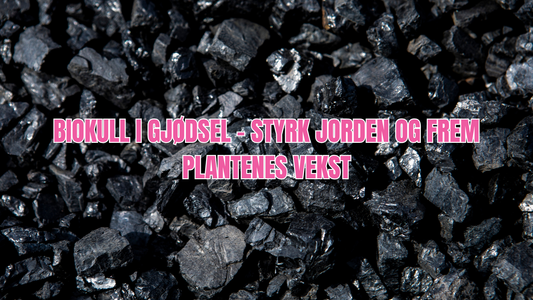 Hvorfor brukes biokull i gjødsel?