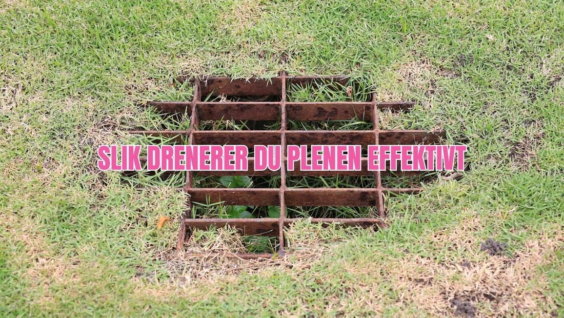 Drenering av plen og hage