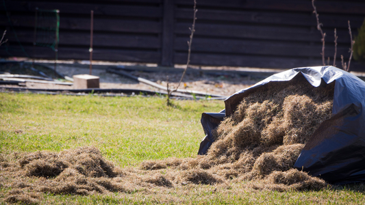 Filt/”Thatch”