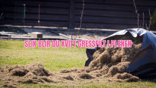 Filt/”Thatch”