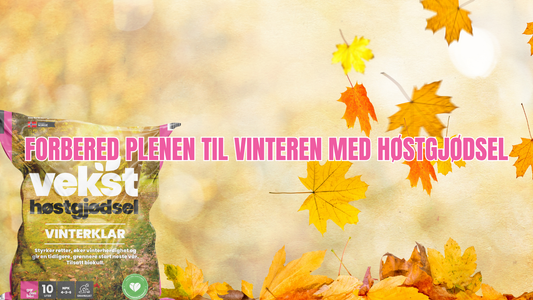 Hvorfor er høstgjødsel så viktig?