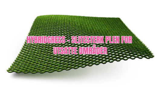 Hybridgress - Slik beskytter du utsatte områder i hagen din