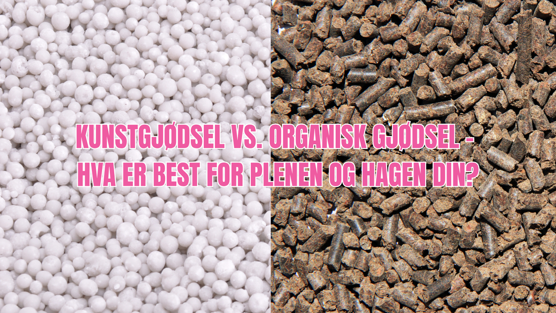 Kunstgjødsel eller organisk gjødsel?