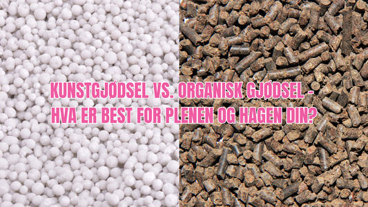 Kunstgjødsel eller organisk gjødsel?