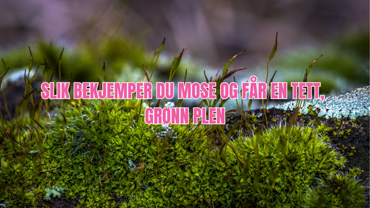 Mose i plenen?
