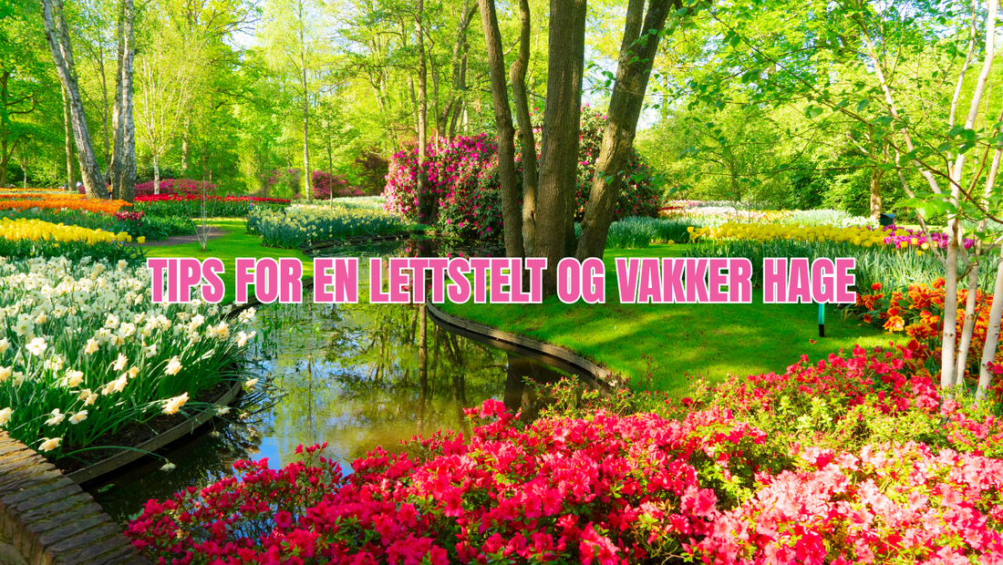 Slik får du en frodig hage som krever minimalt med tid og innsats