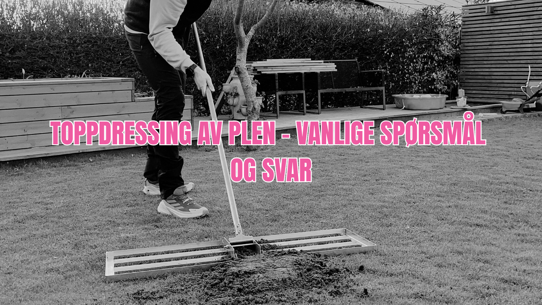 Toppdressing av plen – vanlige spørsmål og svar
