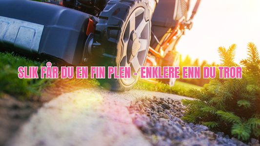 Slik får du en fin plen – enklere enn du tror