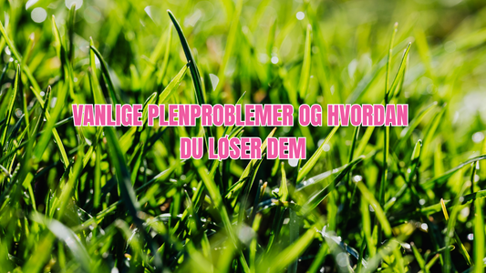 Vanlige plenproblemer og hvordan du løser dem