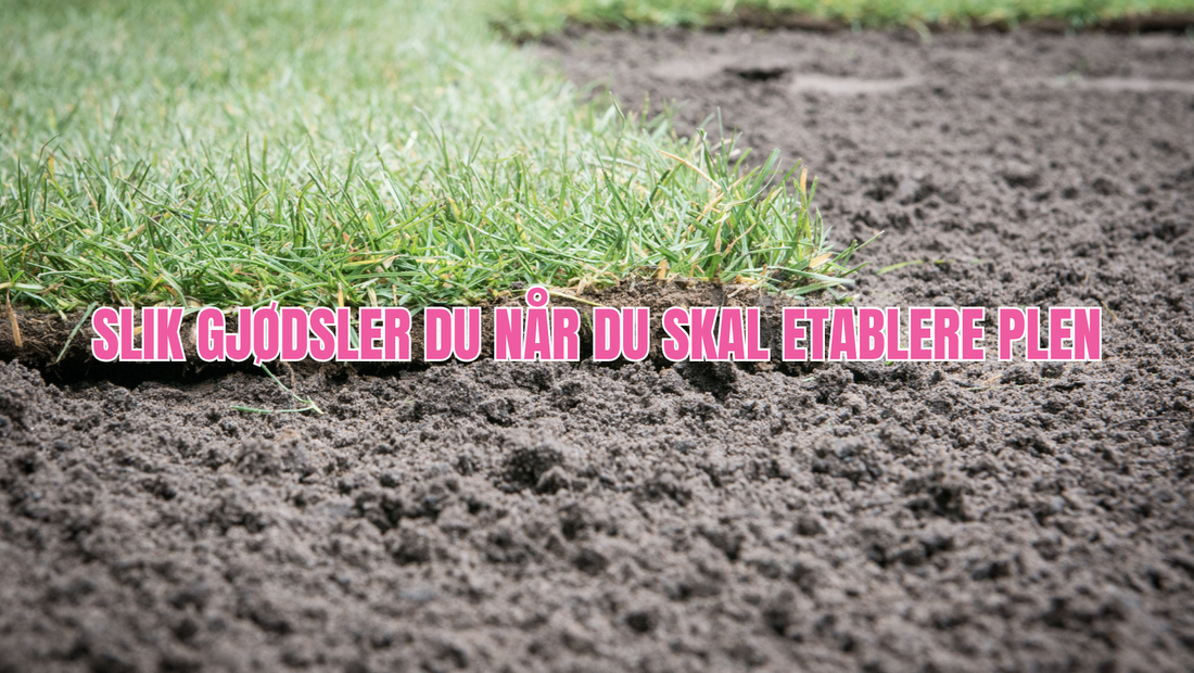 Gjødsling ved såing av plen? En guide til sunn vekst.