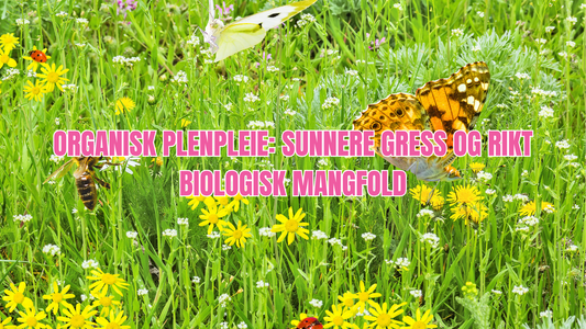Organisk plenpleie for biologisk mangfold