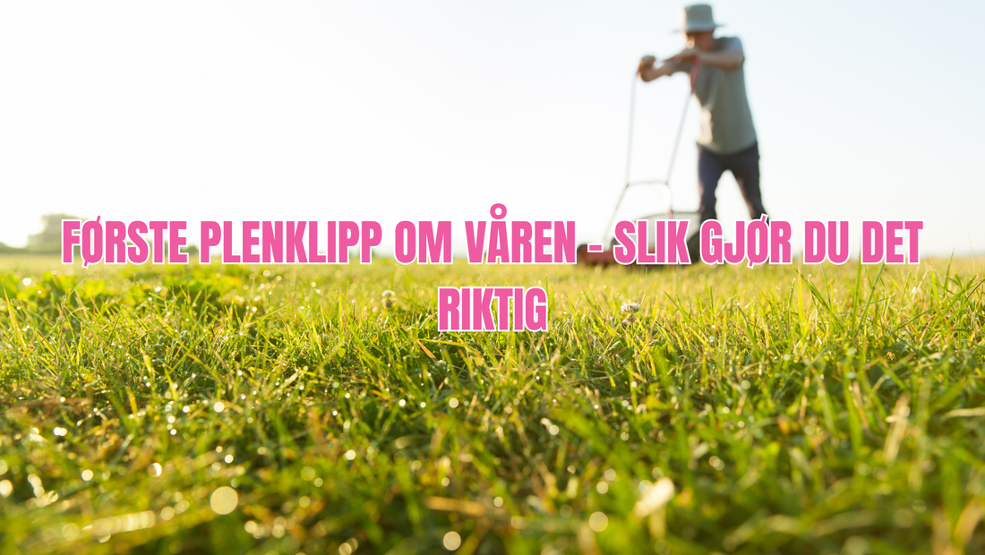 Første plenklipp om våren – slik gjør du det riktig