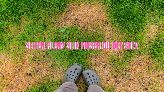 Plenrenovering - slik fikser du det selv