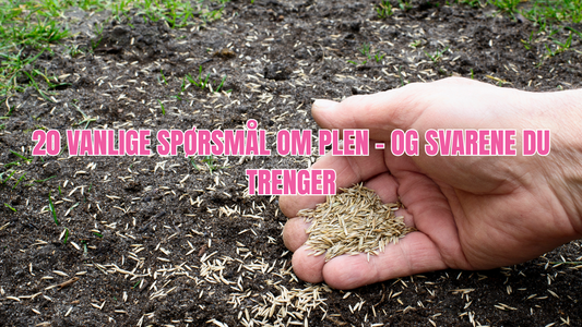 Ofte stilte spørsmål om såing av plen og gressfrø