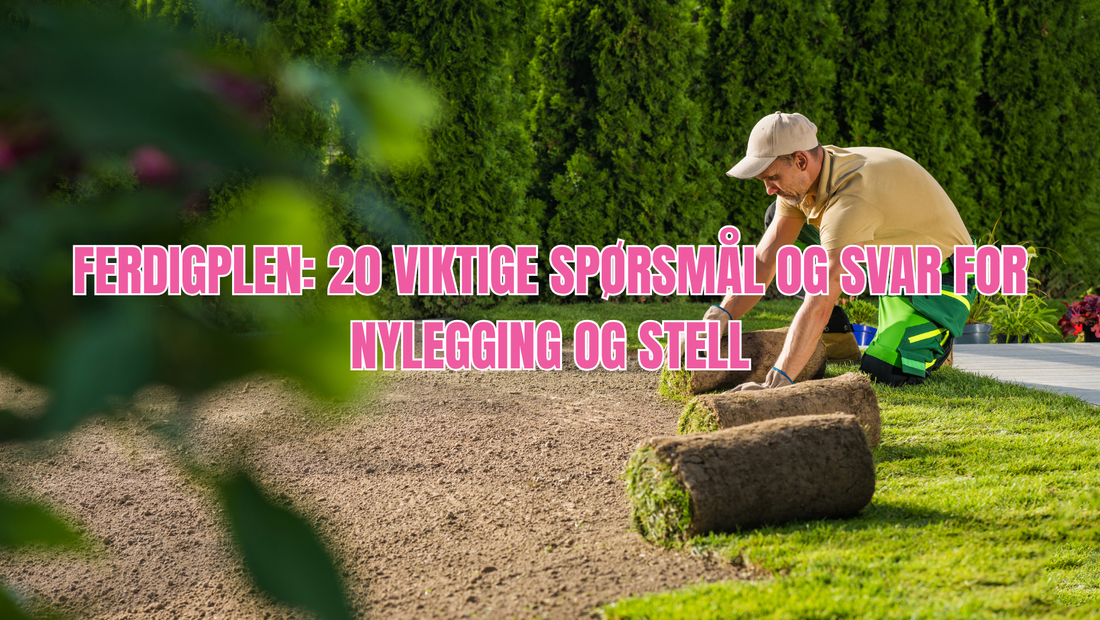 19 vanlige spørsmål og svar om ferdigplen