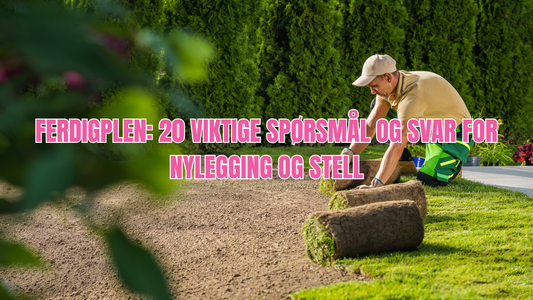 19 vanlige spørsmål og svar om ferdigplen