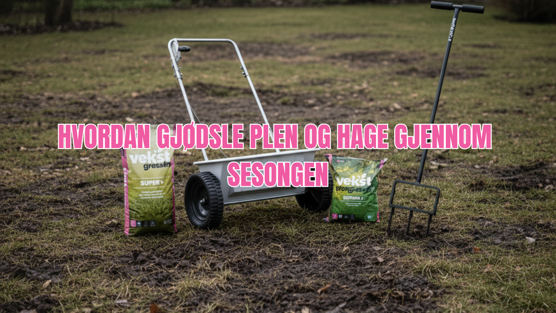 Hvordan gjødsle plen og hage gjennom sesongen