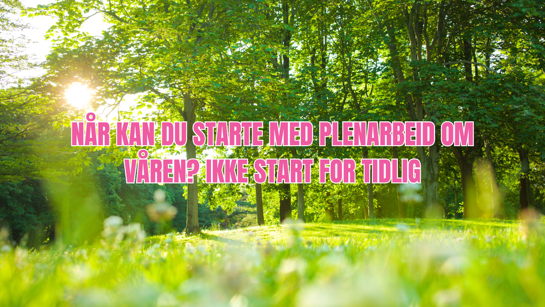 Når kan du starte med plenarbeid om våren? Ikke start for tidlig