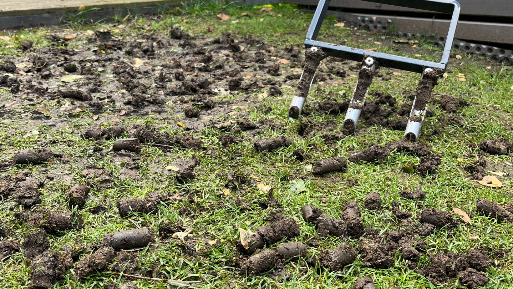 Godt Drenert Jord: Nøkkelen til en Frodig Hage () Godt Drenert Jord: Nøkkelen til en Frodig Hage