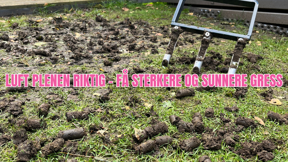 Beste verktøyet for plenlufting