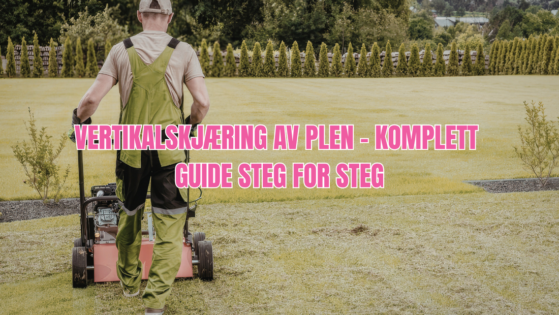 Vertikalskjæring av plen – komplett guide steg for steg