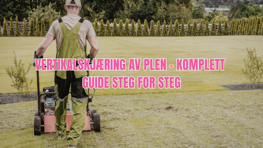Vertikalskjæring av plen – komplett guide steg for steg