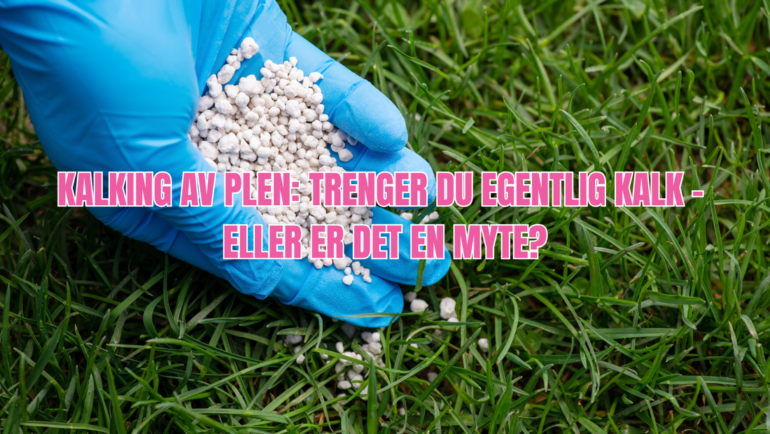 Kalking av plen: Trenger du det egentlig?