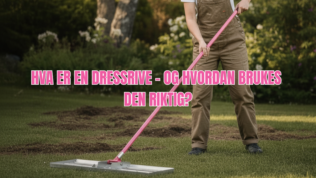 Hva er en dressrive – og hvordan brukes den riktig?