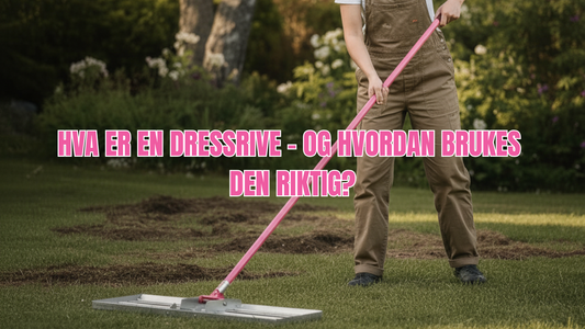 Hva er en dressrive – og hvordan brukes den riktig?