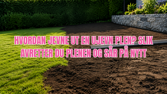 Hvordan jevne ut en ujevn plen? Slik avretter du plenen og sår på nytt