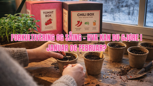 Forkultivering og såing – hva kan du gjøre i januar og februar?