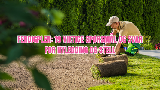19 vanlige spørsmål og svar om ferdigplen